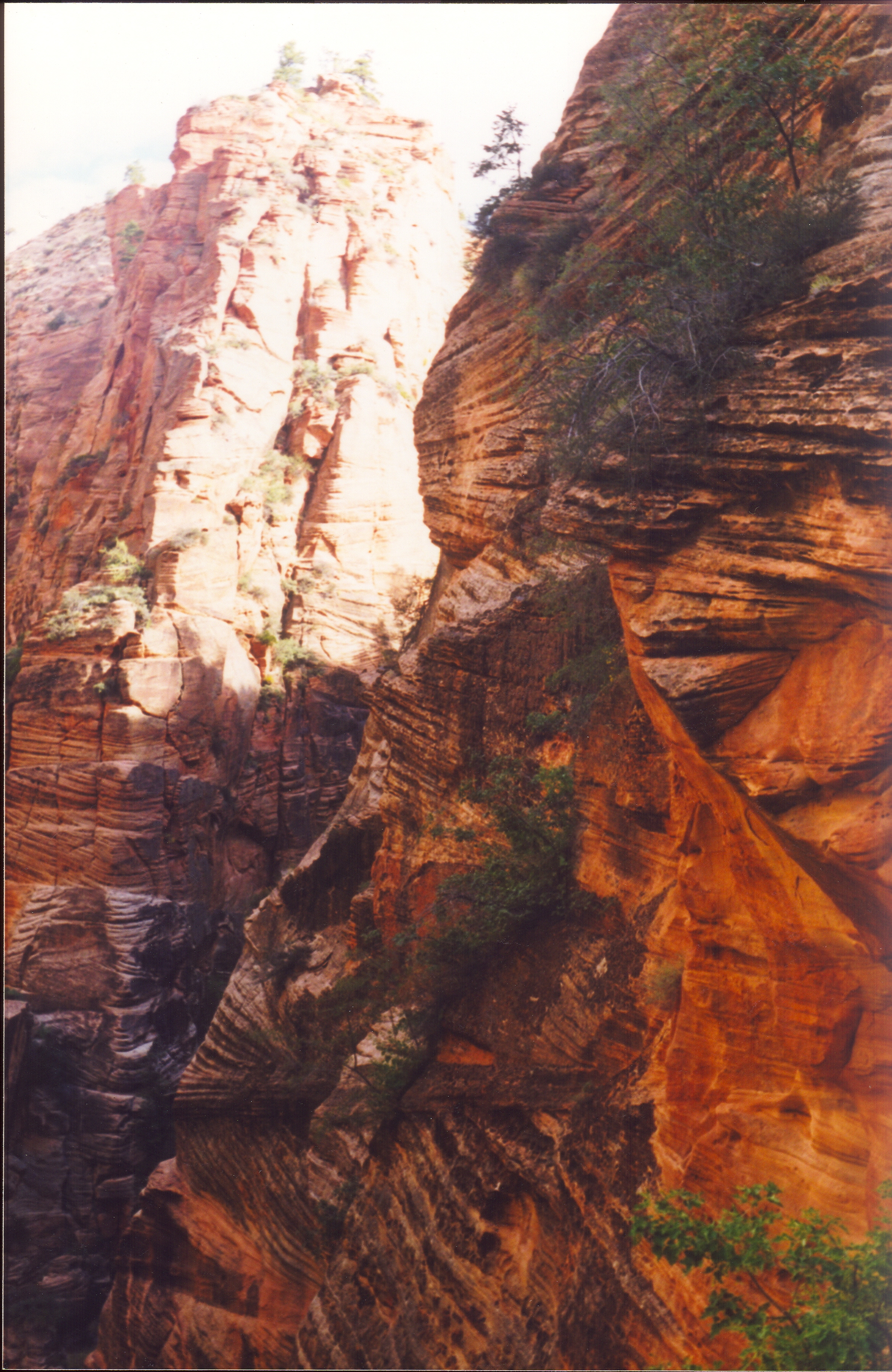 Zion National Park